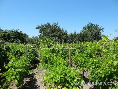 House in Bulgaria 34km from the beach garden