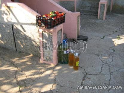 House in Bulgaria 6km from the beach 15