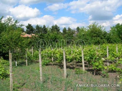 House in Bulgaria 18km from the beach vineyards