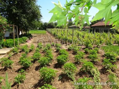 House in Bulgaria 28km from the beach garden