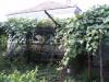 House in Bulgaria 5 km from Dobrich vineyards