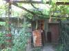 Bulgarian house 26km from the beach garden 2