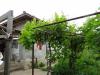 House in Bulgaria 9km from the beach 4